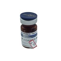 Flecainide IMPURITY
